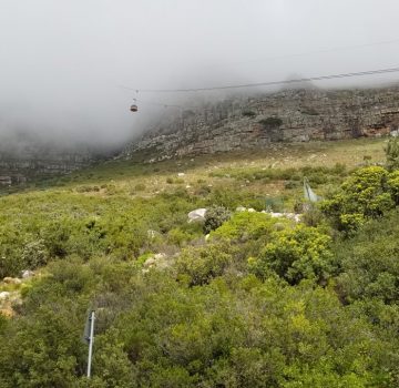 August 13, 2019 – Table Mountain